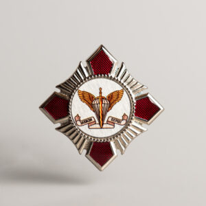 Нагрудний знак десантно-штурмові війська України